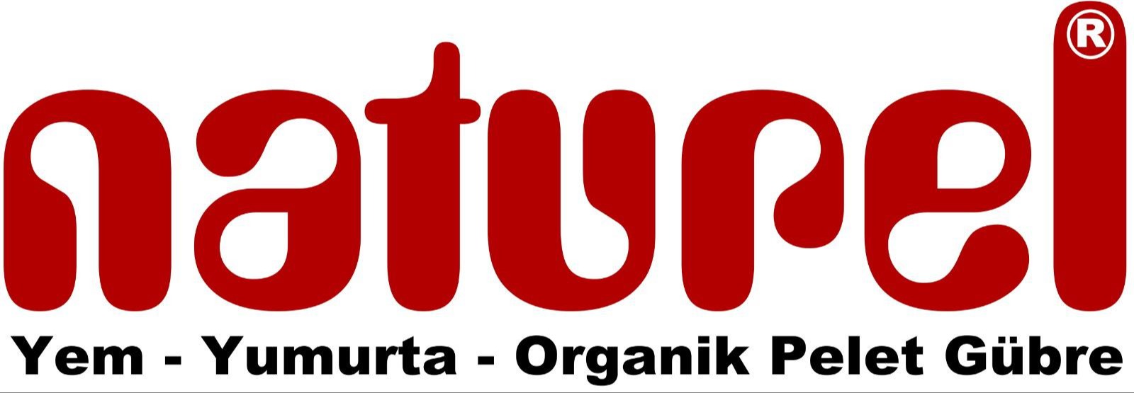 Sponsor logosu